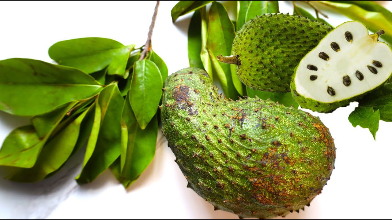 The Four Leaves That Eliminate Diabetes, Fatty Liver, Poor Circulation, And High Blood Pressure