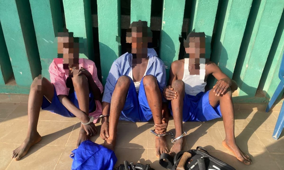 12-year-old, two others arrested as Ogun police foil secondary school cult initiation