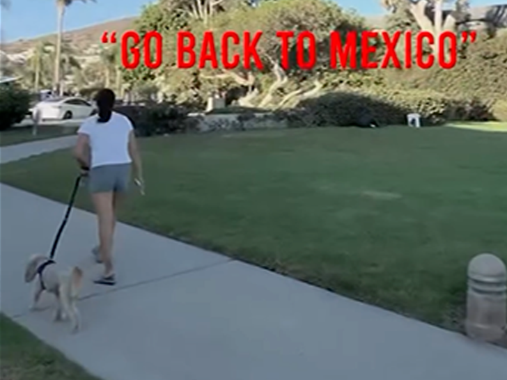 California Karen Goes Nuts on Couple Getting Engaged, Hurls Racist Remarks