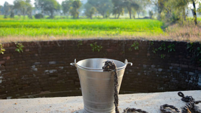 Cancer toxin found in groundwater near Nashik Kumbh Mela site: How chromium affects human health