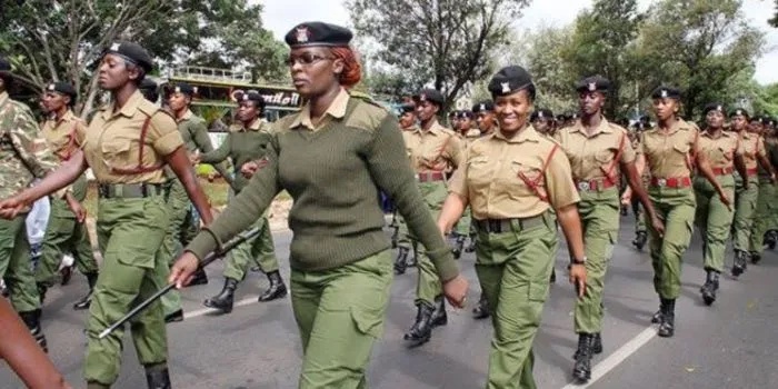 Top Senator Says She Helped Her Supporter Get a Fake KCSE Certificate to Land a Police Job