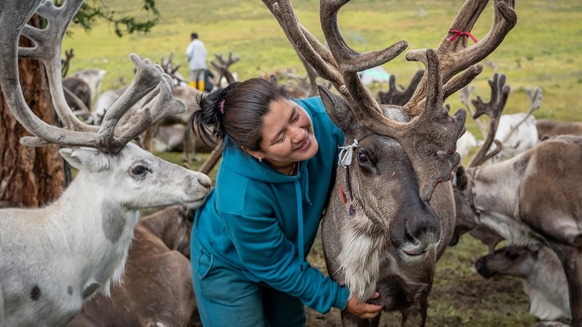 Beyond the end of the road: A four-hour horse ride to stay with Mongolia’s reindeer herders