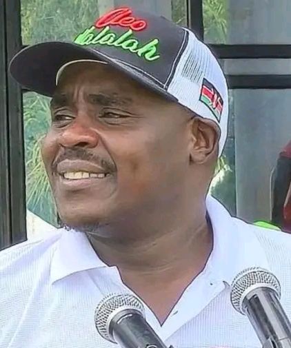 Malala Announces Monday Meeting With Kalonzo, What DCP Wants From Him Raises Interest