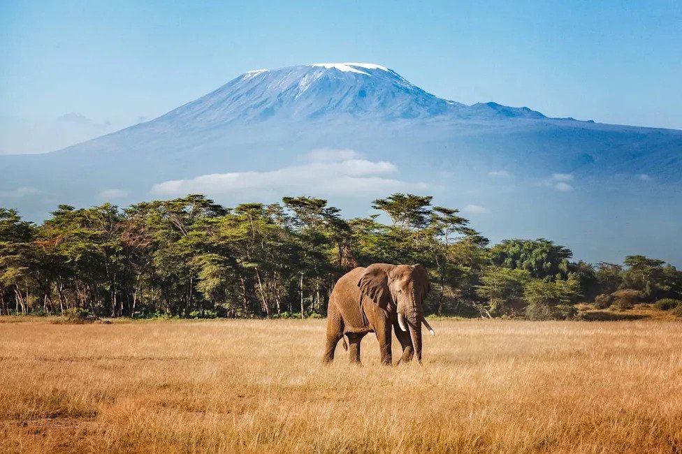 British Airways Launches New Route to Tanzania: Safari and Zanzibar Awaits Travelers