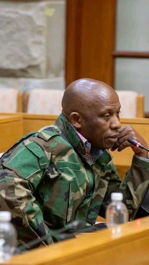 David Mkhwebane Reportedly Set to Join EFF After Leaving MK Party