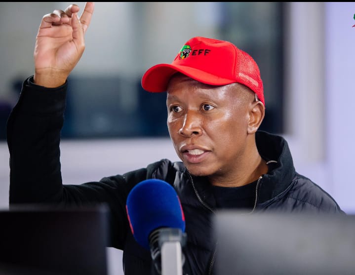 Julius Malema Takes Aim at MySol, Calls Him a “Small Boy” in Latest Political Jab