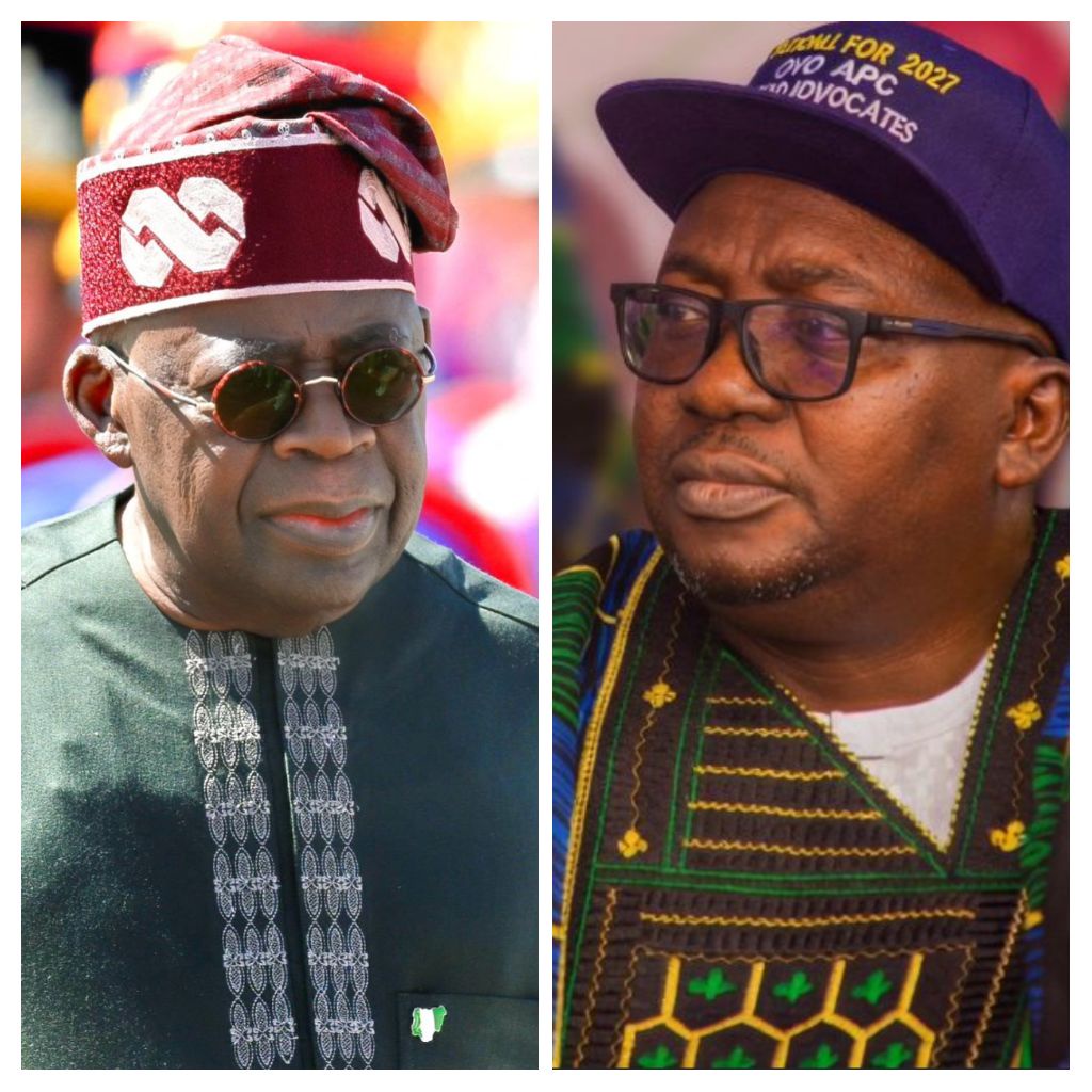 Presidency Reacts To Trending Video Of Ex-Power Minister Adelabu Asking Nigerians To Reject Tinubu, APC In 2027