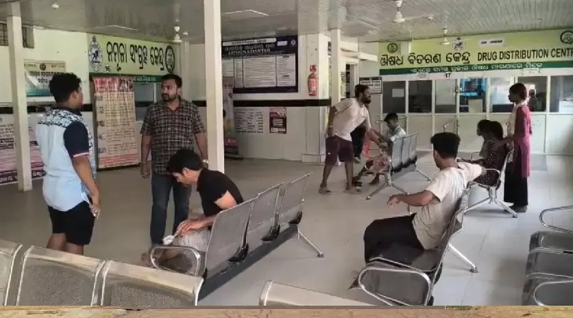 13 Bitten by Stray Dog in Odisha’s Gunupur, Civic Body Launches Hunt