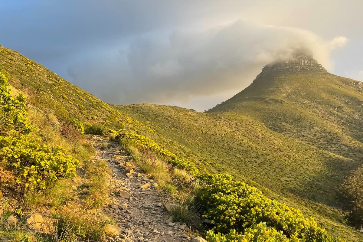 Man arrested for robbing tourists on Lion’s Head
