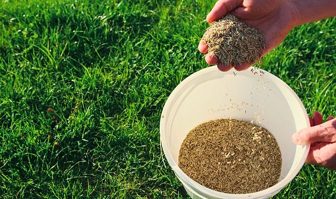 Lawns will be thicker and greener in 7 days with ‘unbelievable’ B&Q item gardeners love