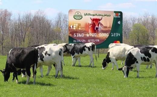Punjab CM inaugurates Livestock Card Phase-II by swiping card