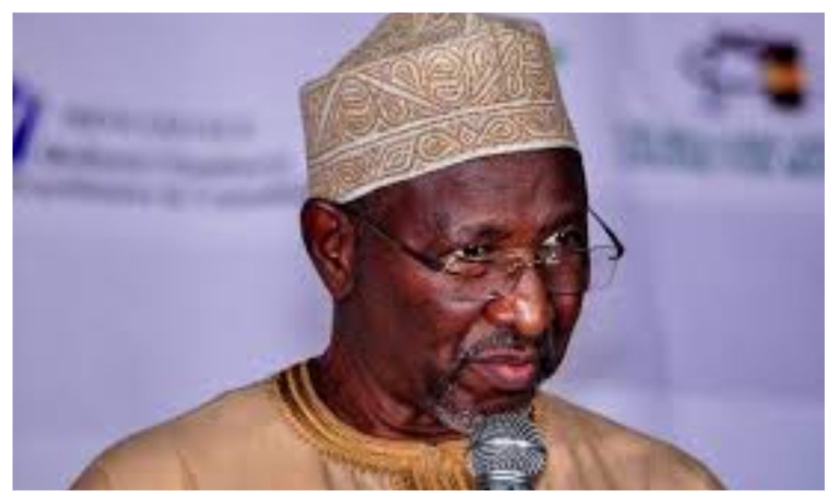 ‘Muslim-Muslim ticket is fraud to deceive voters’ – Bugaje