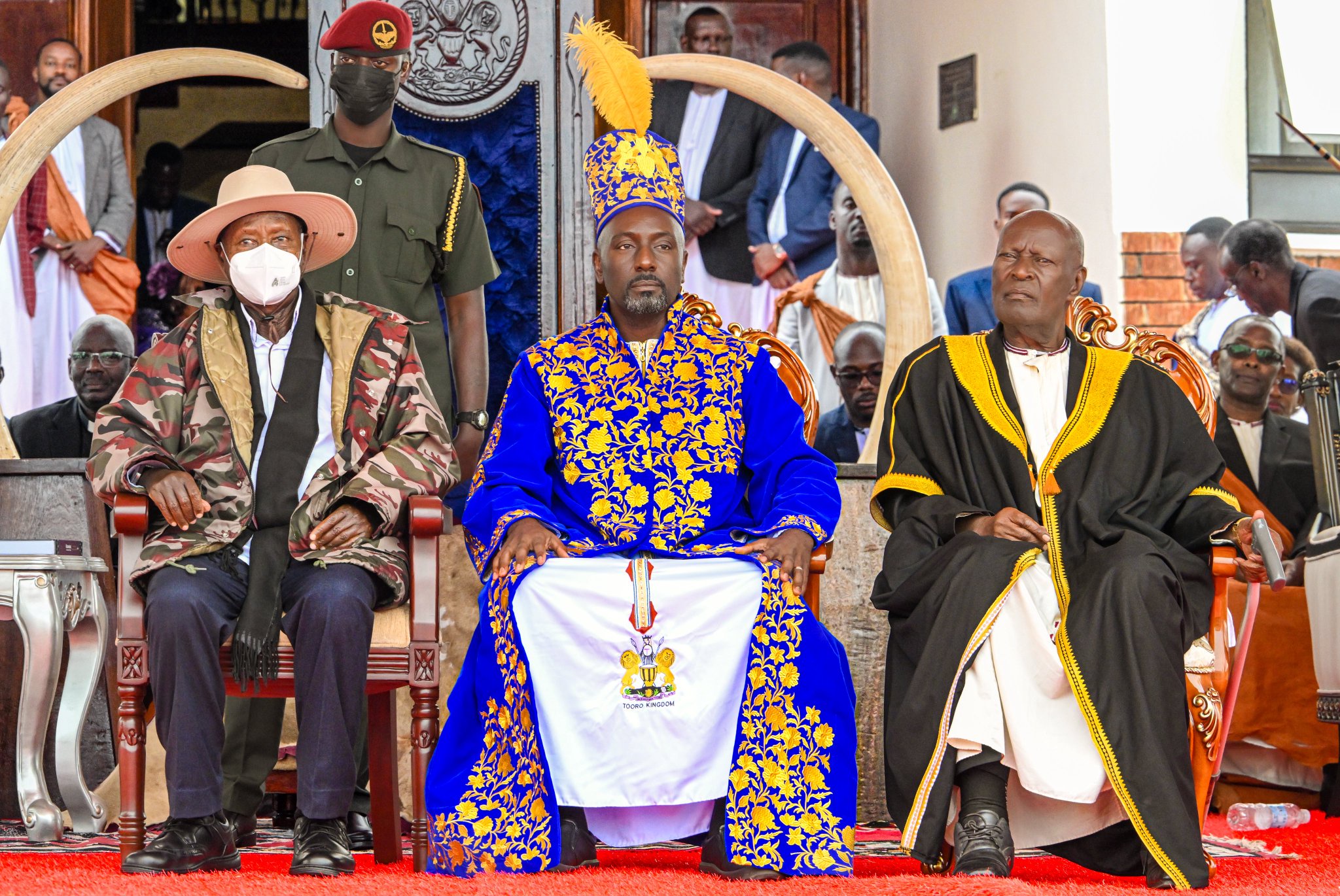 Museveni gifts new Tooro King Nyabongo 100 Ankole longhorn cattle