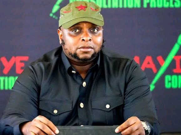 “Most Illegal Foreigners In South Africa Are Economic Migrants, Not Asylum Seekers” Shivambu Says
