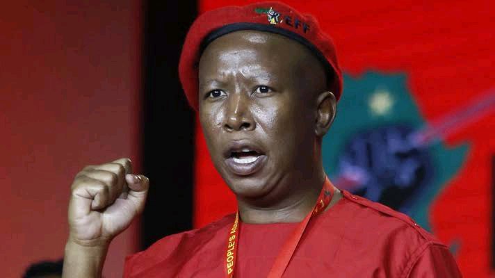 Malema Calls MySol a ‘Small Boy’ During EFF Rally in Madibeng