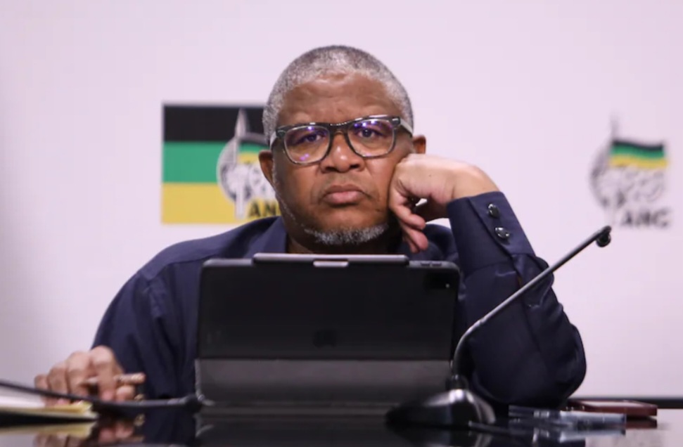 Fikile Mbalula Steps in as Malema-MySol Feud Escalates – ‘Let’s Settle This Amicably’