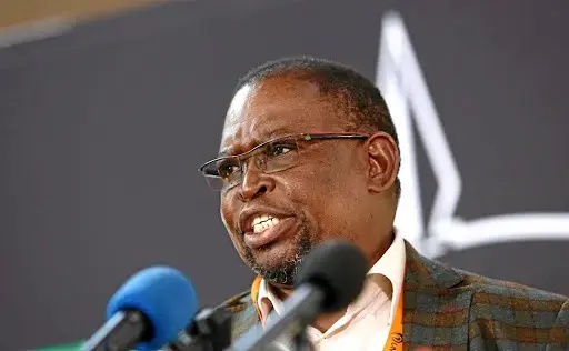 Godongwana throws fuel levy lifeline to cash-strapped consumers
