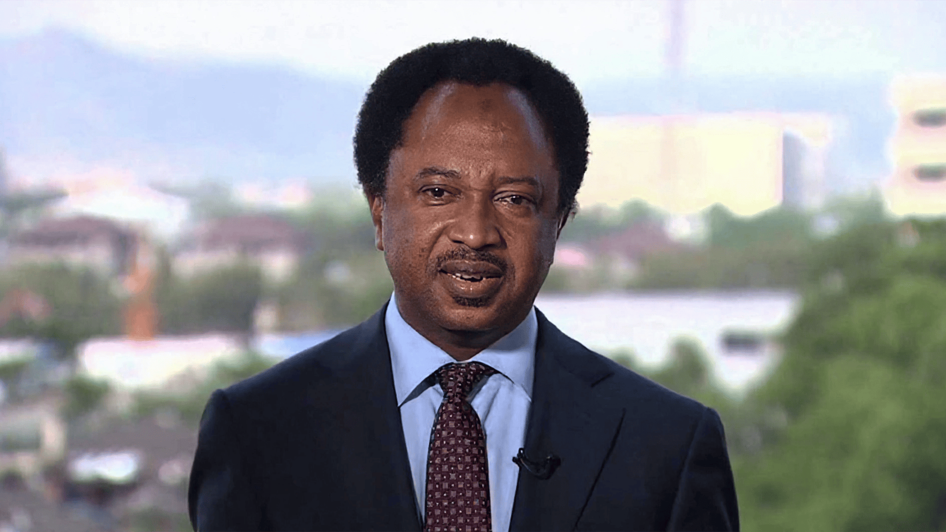 INEC List: Omitted candidates face lost battle – Shehu Sani
