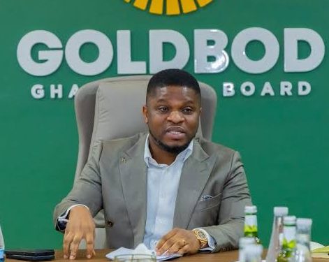 GoldBod CEO Warning: Professor Says Officials Who Allow Unlicensed Mining Could Face Legal Action
