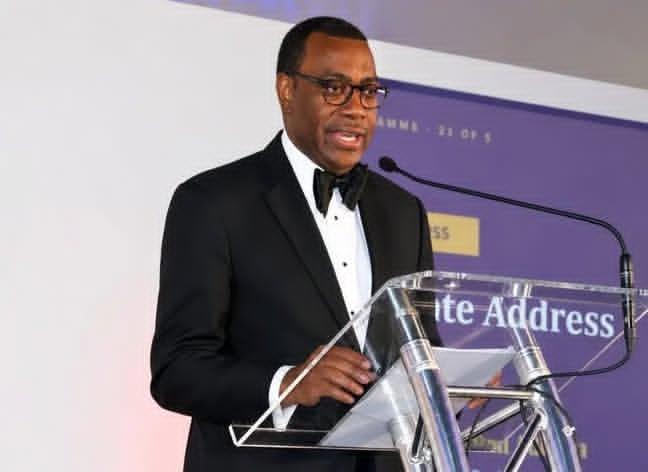“When A Young Person Walks Into A Bank,What Bank Often Sees Is Not An Asset,It Sees A Risk–Adesina