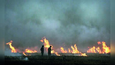 59 stubble bruning cases in Punjab in 15 days