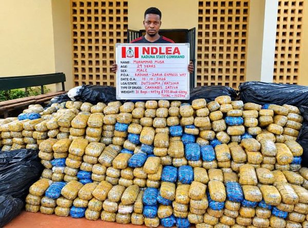 NDLEA arrests 83-year-old woman again, seizes meth, Colorado, 1.1 tonnes of cannabis