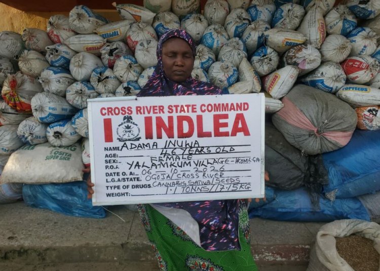 NDLEA Arrests Woman With 1.1 Tonnes Of Cannabis In Cross River