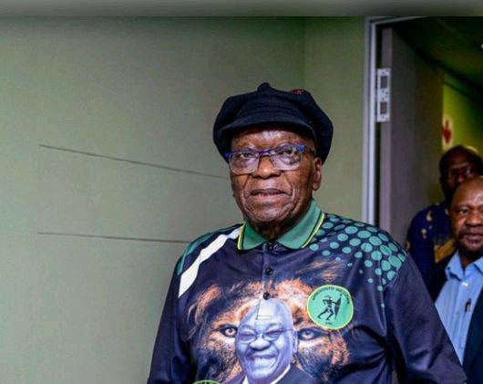 Duduzane Zuma Has Given An Update On Jacob Zuma Health