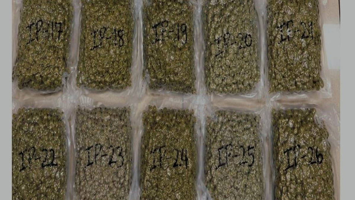 Flyer held with 15 kg hydroponic ganja at Chennai airport