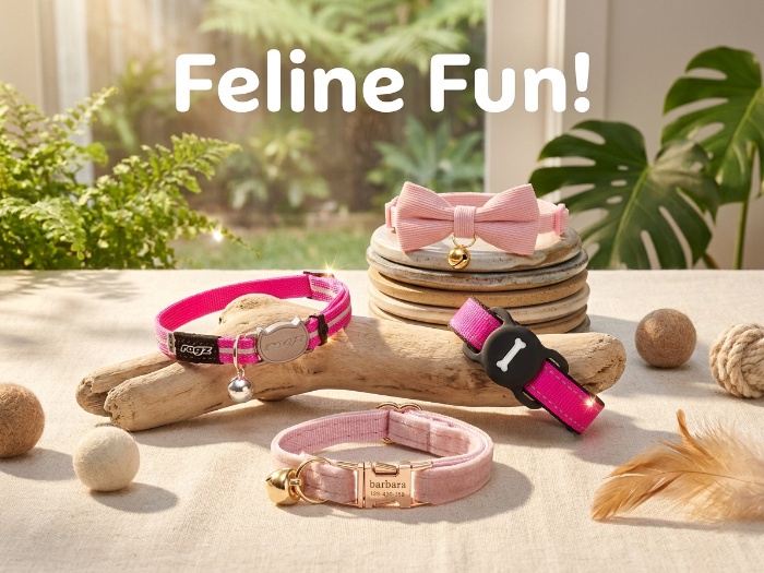 Perfect Choices for Your Feline Friends and Pets on the Go