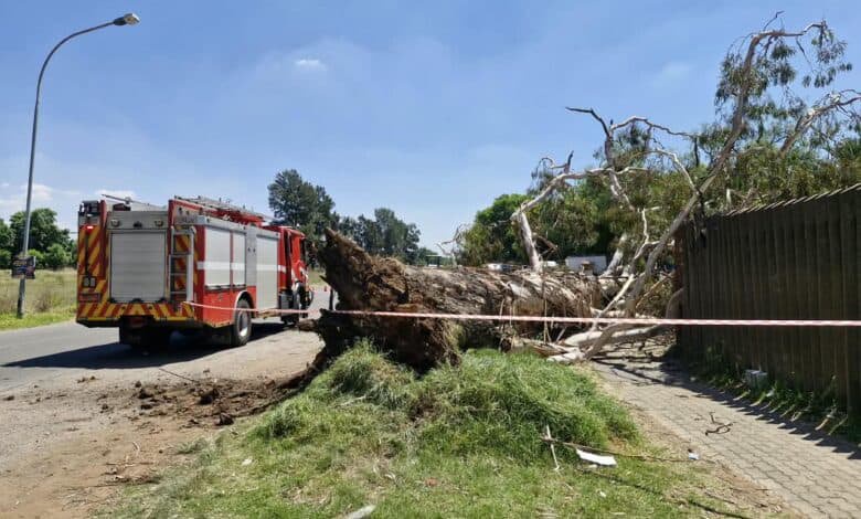 1 person killed, 2 injured after tree falls in Springs