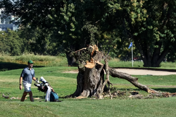 Judge extends order blocking Trump administration from clearing trees at DC golf course