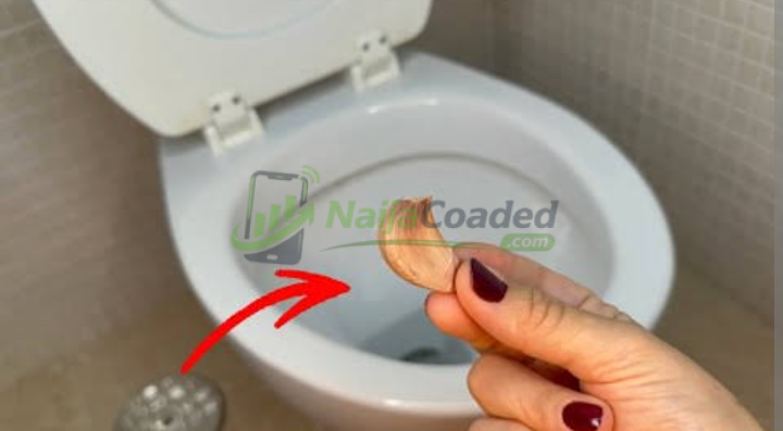 Here Is What Will Happen To Your Toilet If You Drop One Piece Of Garlic At Night