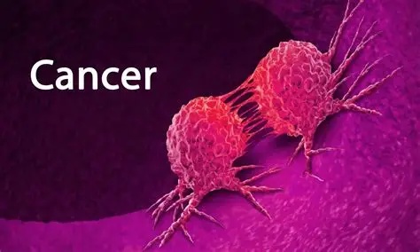 Five Foods That Destroys Cancer When Eaten