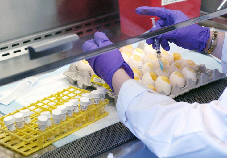 Central Oregon Clinicians Alerted to Multistate Salmonella Enteritidis Outbreak, but Officials Have Not Released Cases or a Source