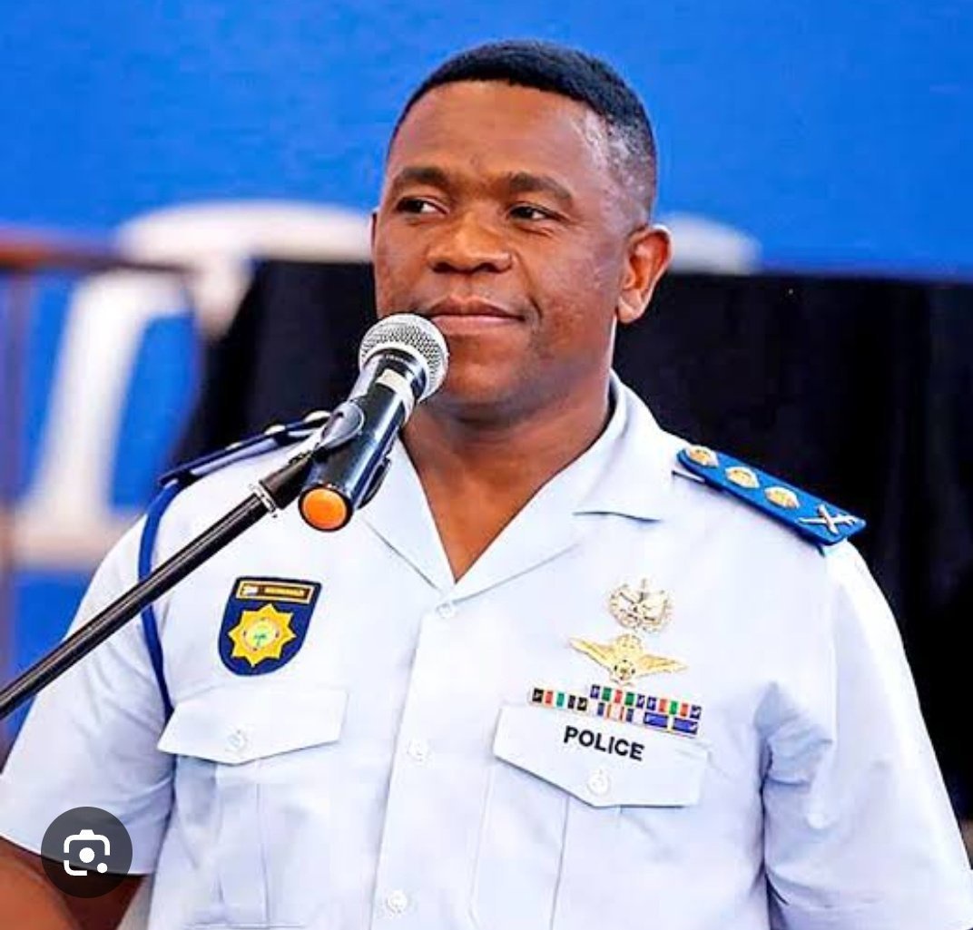 Acting Police Minister seeks Cabinet approval for Mkhwanazi as new Hawks head