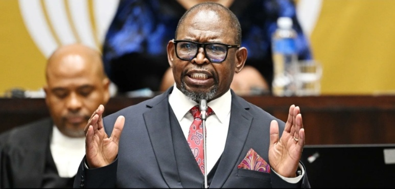 Enoch Godongwana Faced Four Major Crises as South Africa Battled Economic Pressure