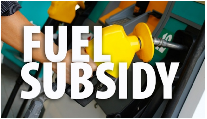 Fuel Subsidy Debate: FG’s Panic Measures?