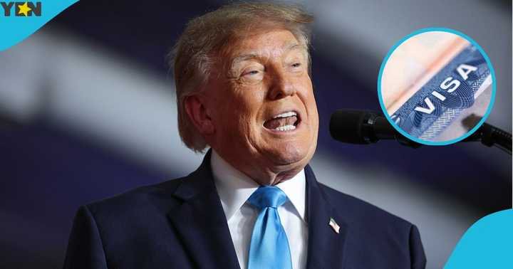 US Halts Visa Issuance to Citizens of 19 Countries, Partly Restricts 19 Others