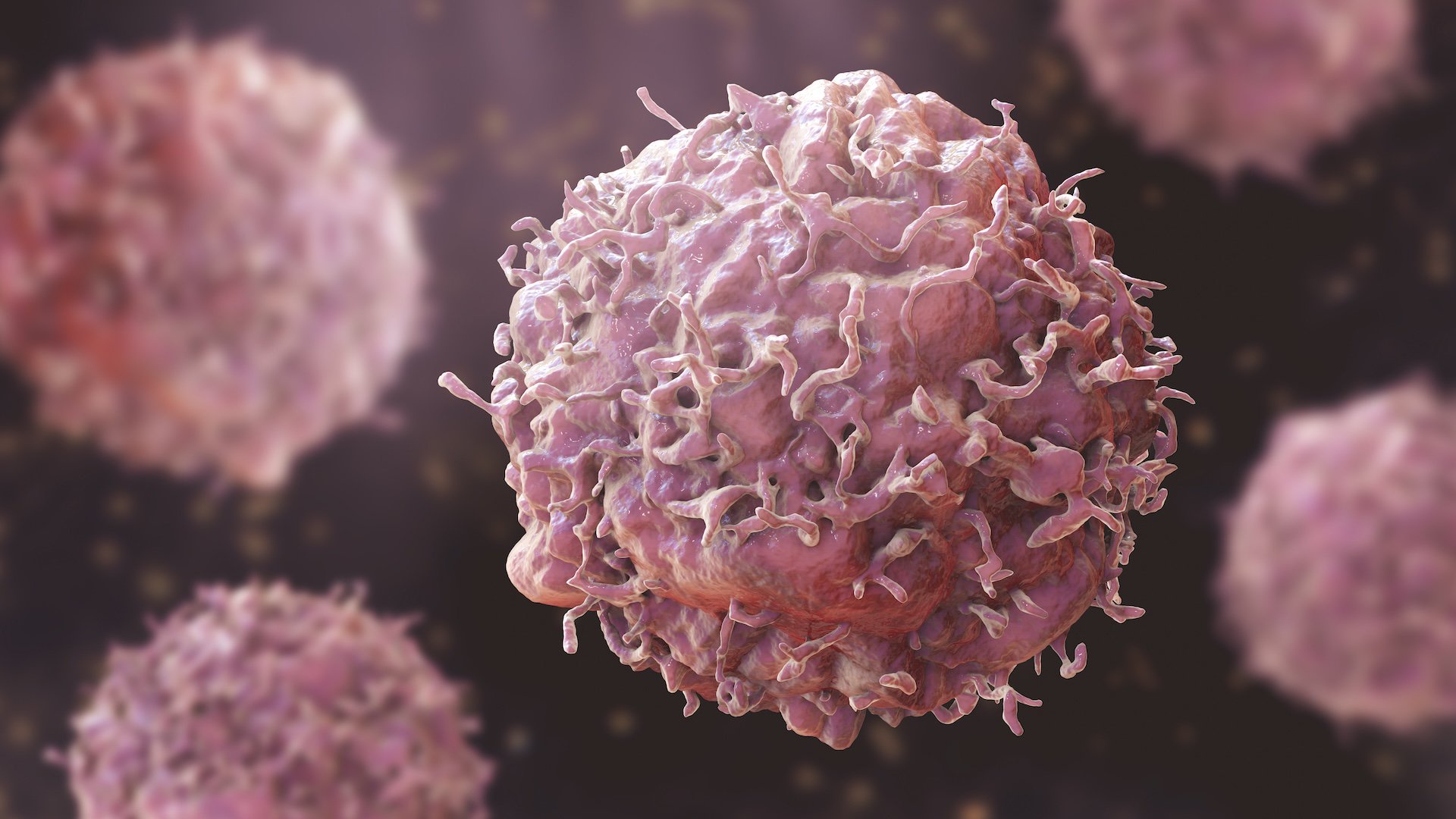 Cancer Will Run Away From You Totally If You Eat These Foods Regularly