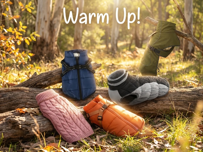 Keep Your Furry Friend Warm and Cozy: A Winter Apparel Guide for Pets