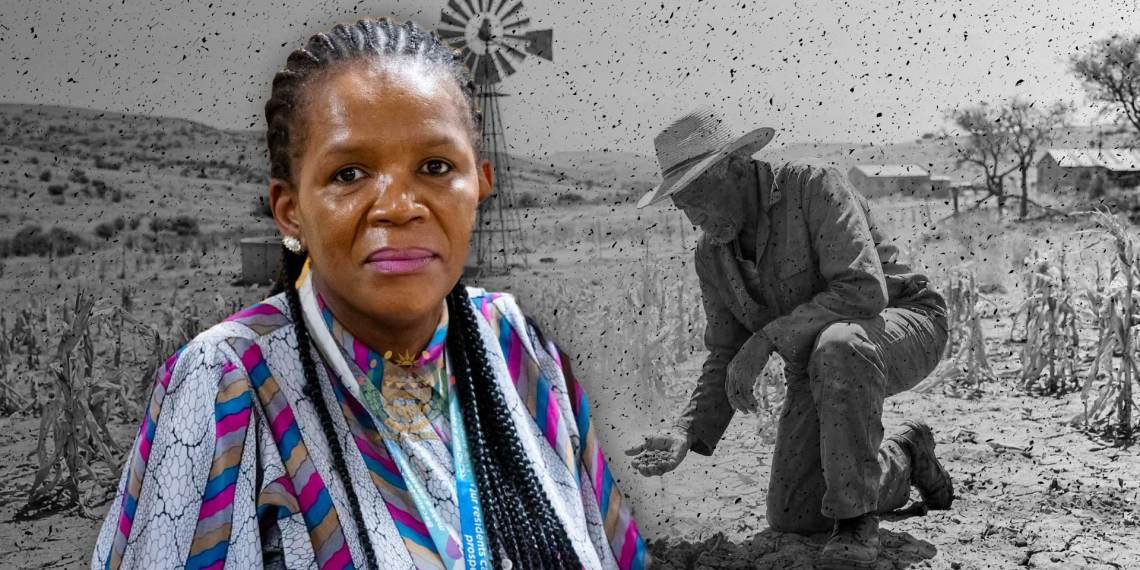 By-laws vs. livelihoods: Barriers facing WC smallholder farmers