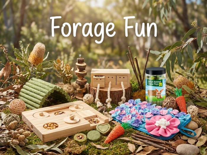Smart Chews & Foraging Toys Your Small Pet Will Love