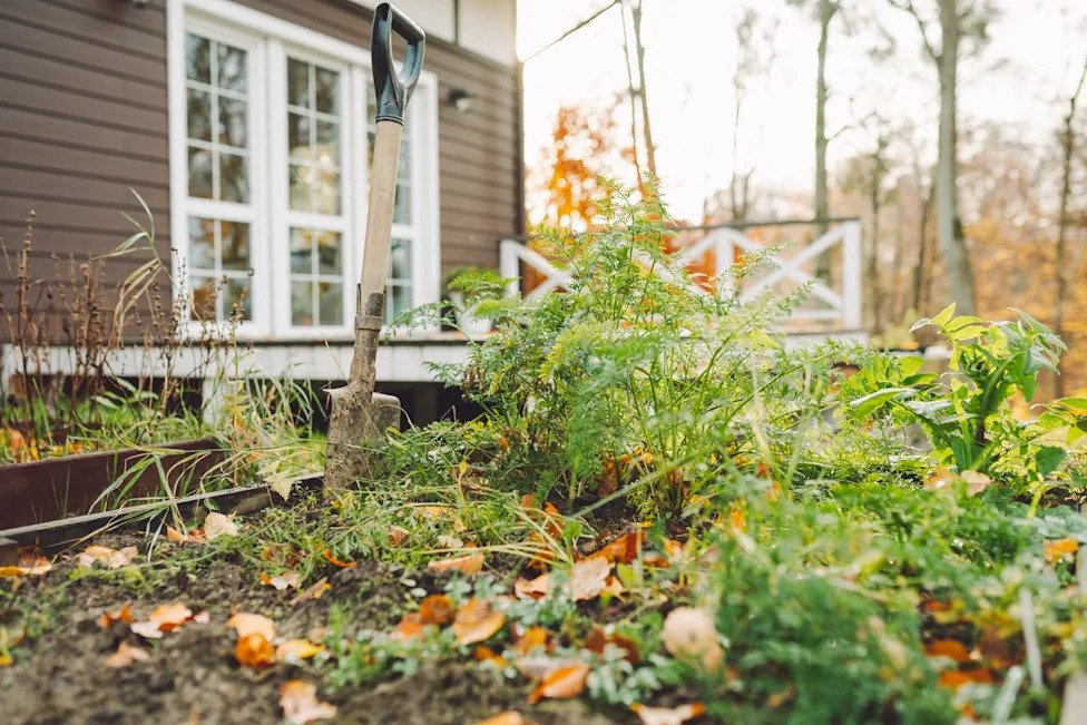 9 Garden Tasks to Do Before the First Hard Freeze