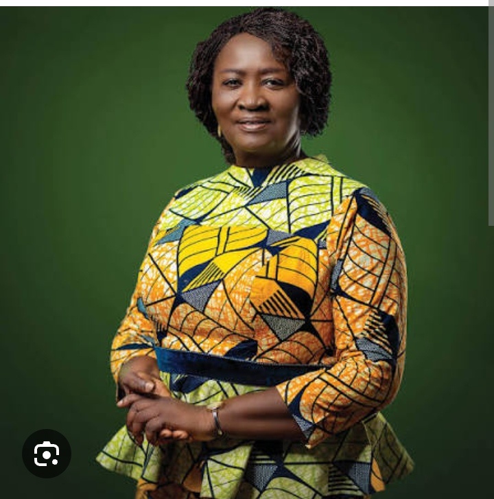 It is Time for Her Excellency, Prof. Jane Naana to Step Up and Make Her Voice Heard – Kofi Osei
