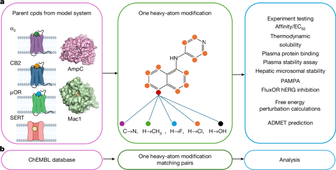 Development of a random background to understand ligand optimization