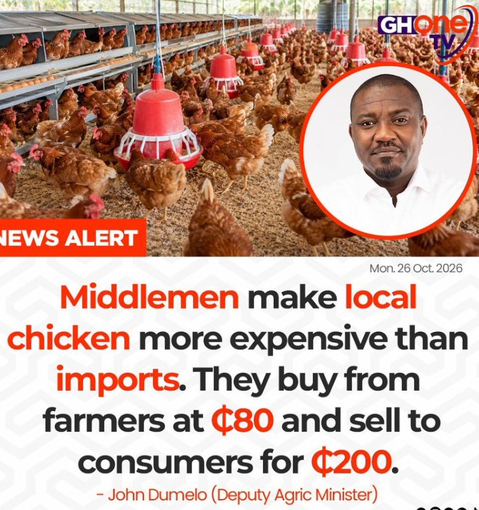 Middlemen Turn Local Chicken into Luxury as Prices Hit GH¢200 – Dumelo
