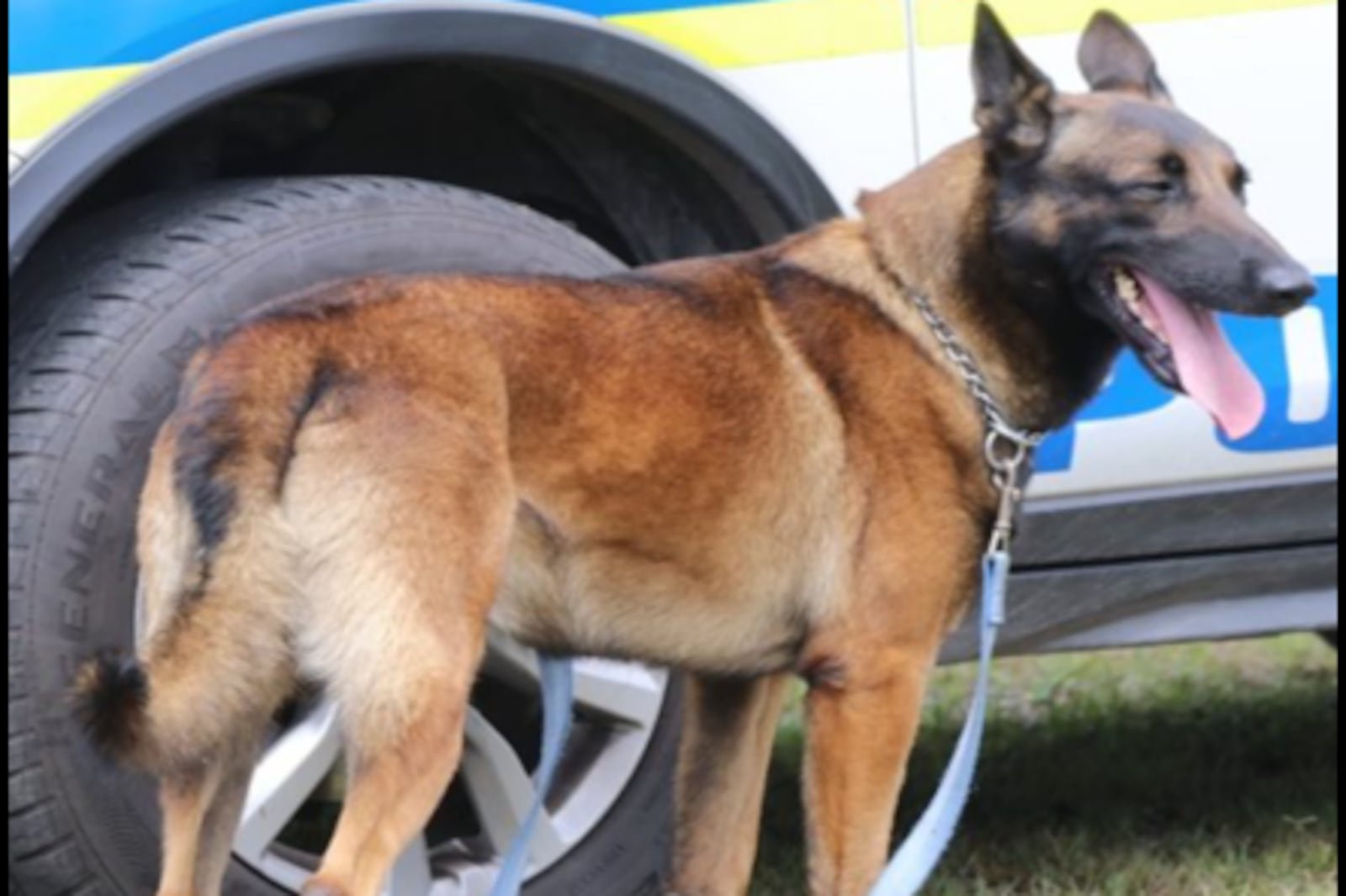 NSPCA to open case against SAPS officials over death of police dog Sky