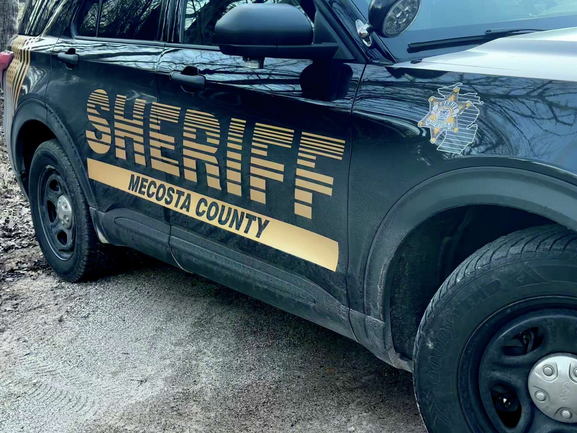 Clare County man dies in Mecosta County crash, witnesses sought