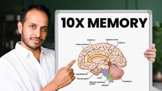 10 Proven Techniques to Train Your Brain for Better Memory and Recall